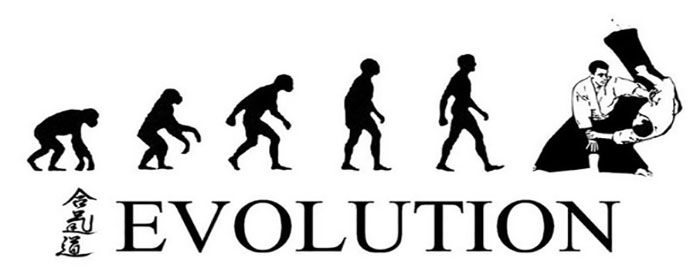 evolution-aikido-chto-eto-za-vid-sporta